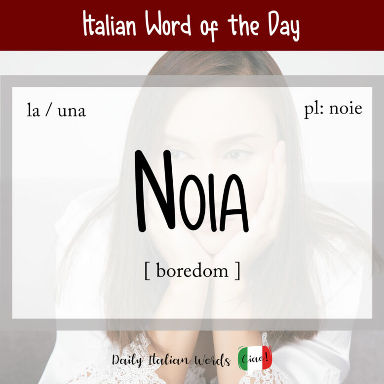 Italian word "noia"