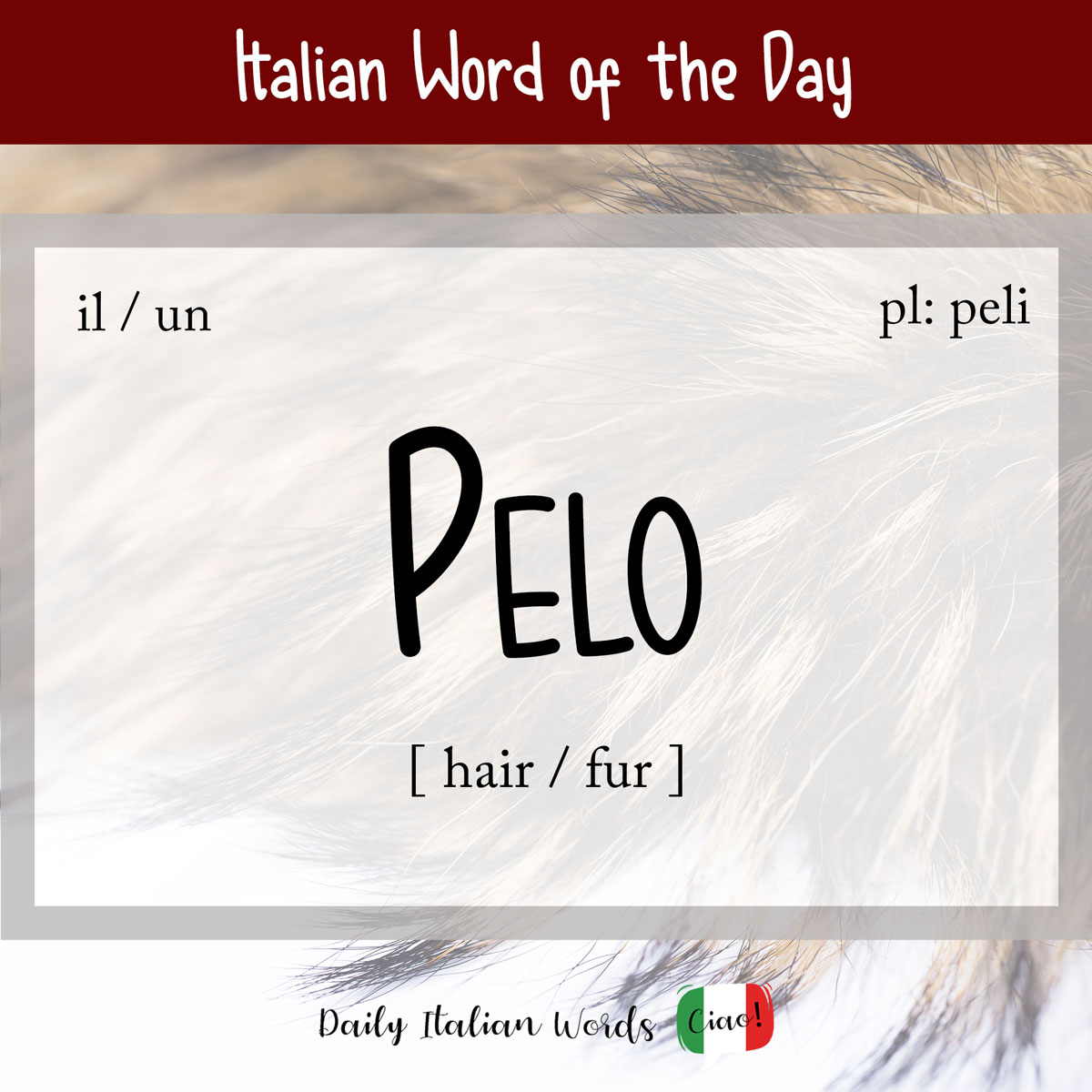 Italian word "pelo"