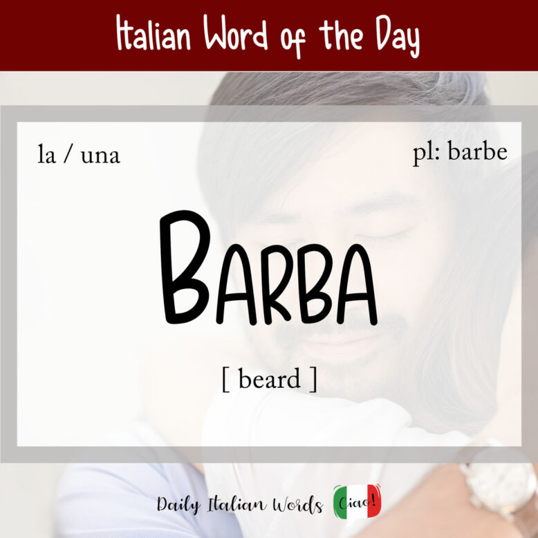 Italian word "barba"