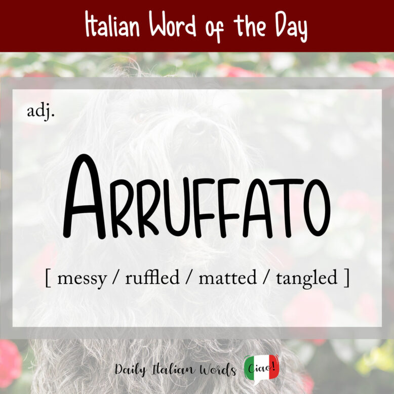 Italian word "arruffato"