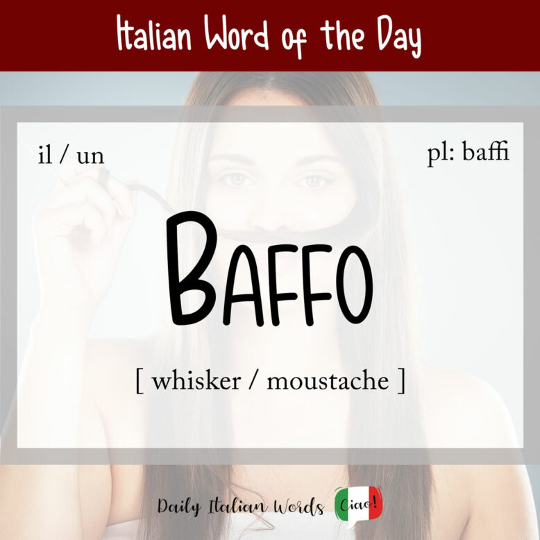 Italian word "baffo"