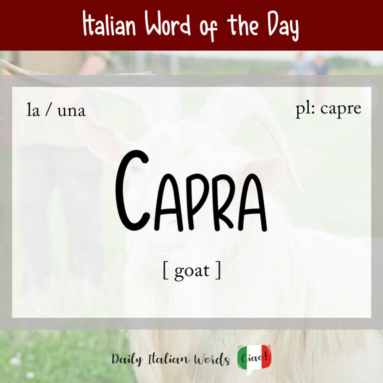 Daily Italian: Capra (goat)