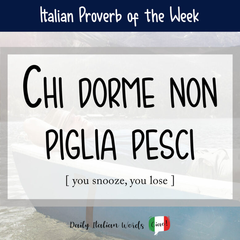 Italian idiom "Chi dorme non piglia pesci".