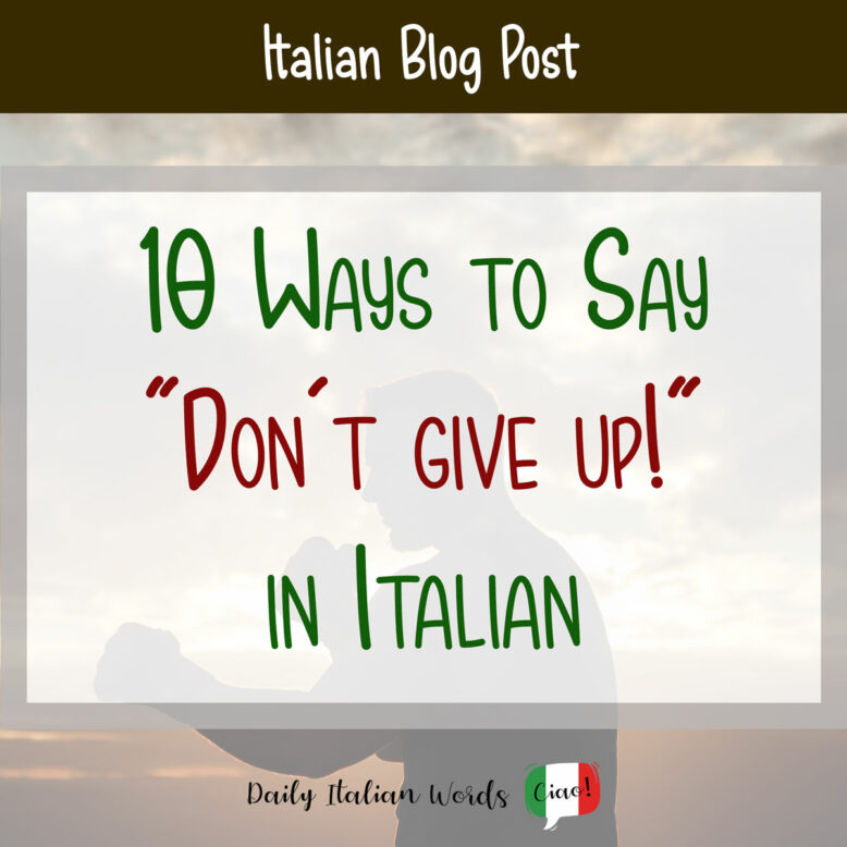 don't give up in italian