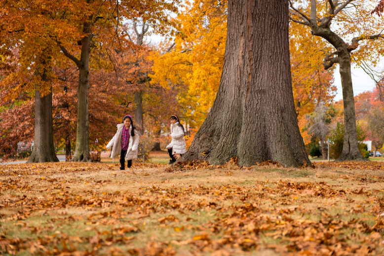 Two young girls running around big tree