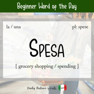 Italian Word of the Day: Spesa (grocery shopping / spending / expense ...