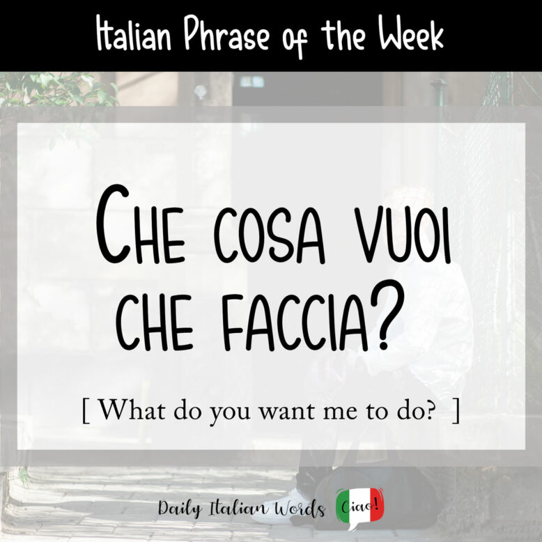 Italian phrase: Che cosa vuoi che faccia?