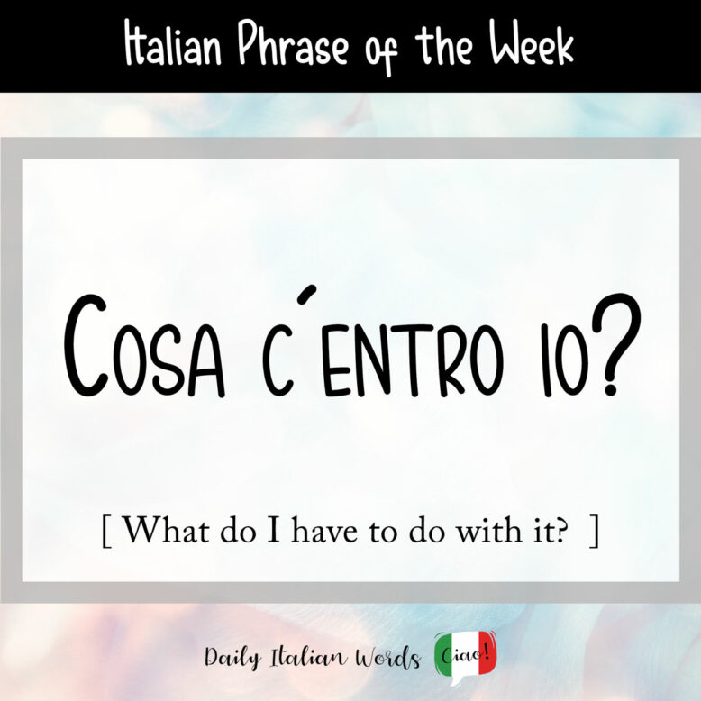 Italian phrase "Cosa c'entro io?"