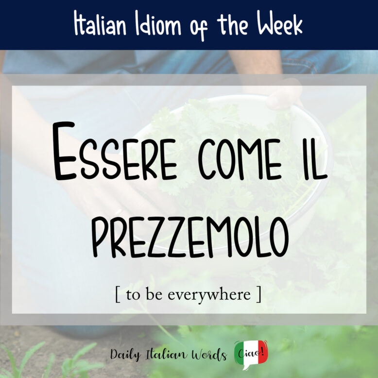 Italian idiom "essere come il prezzemolo"