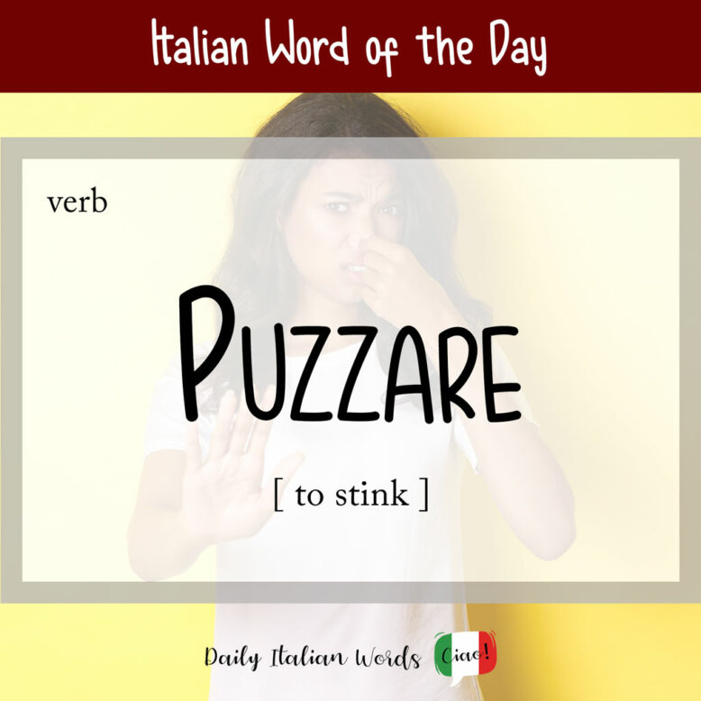 Italian word "puzzare"