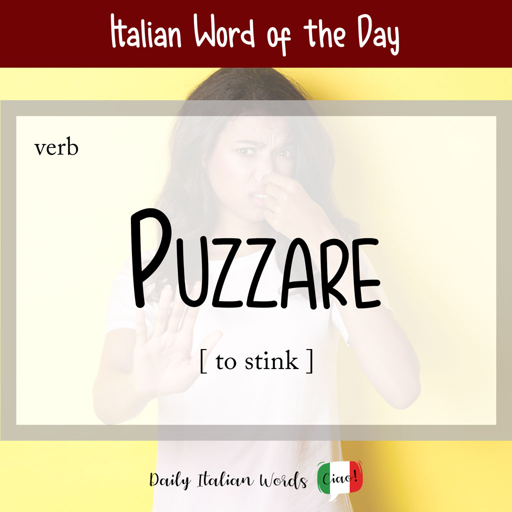 Italian word "puzzare"