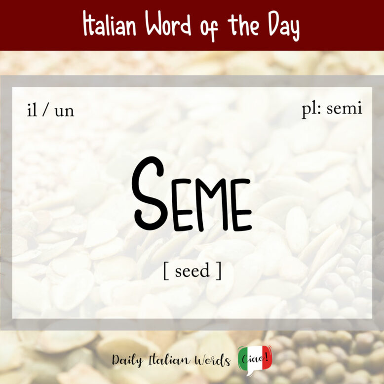 Italian word "seme" (seed)