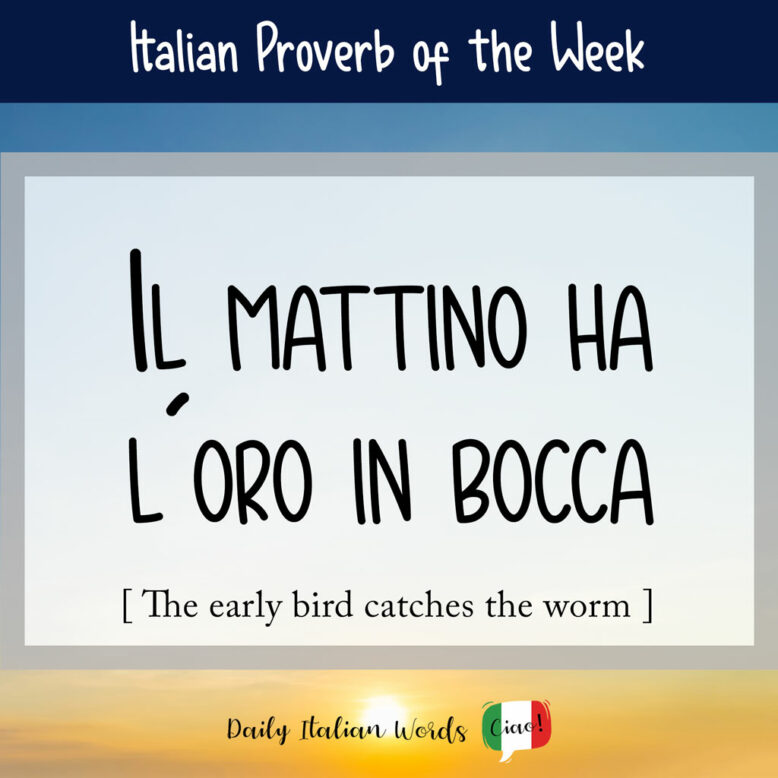 Italian idiom "il mattino ha l'oro in bocca"