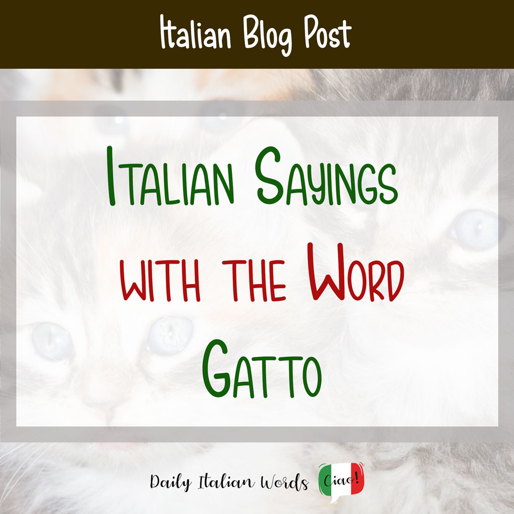 Italian Sayings with the word Gatto