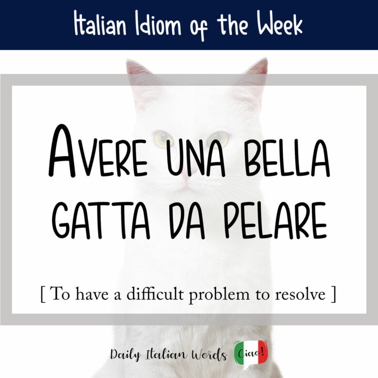 Italian idiom "avere una bella gatta da pelare"