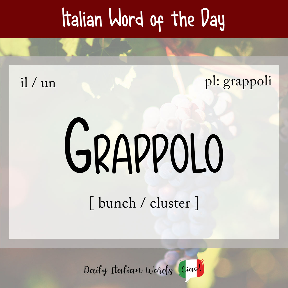 Italian word "grappolo"