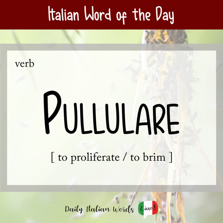 Italian word "pullulare"