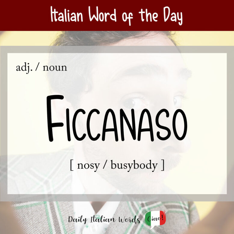 Italian word "ficcanaso"