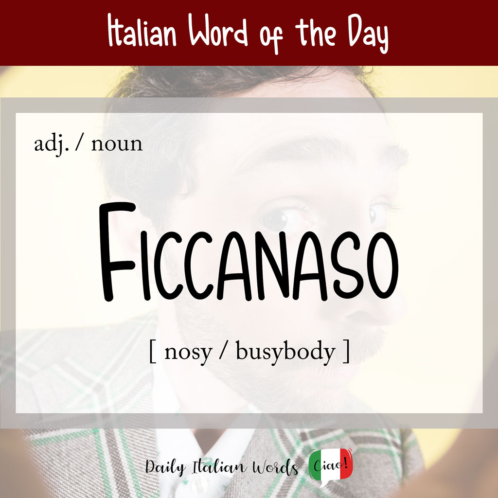 Italian word "ficcanaso"