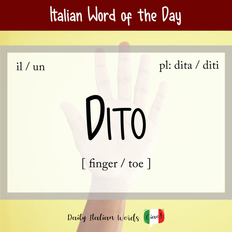 Italian word "dito" (finger / toe)