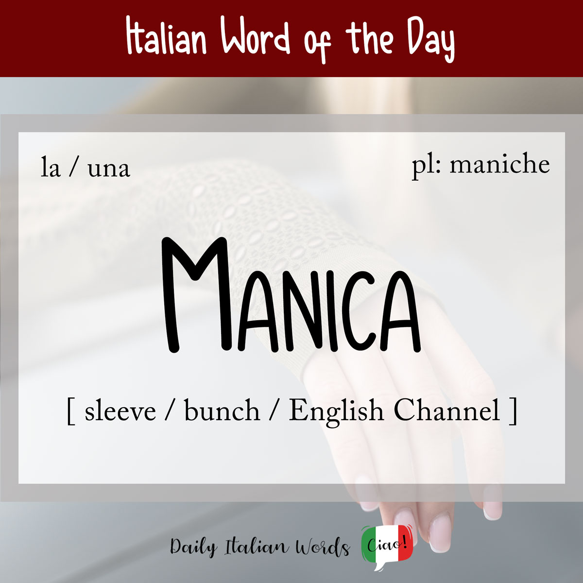 Italian word "manica"