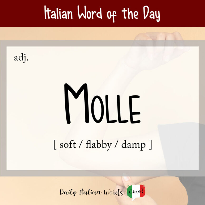 Italian word "molle"