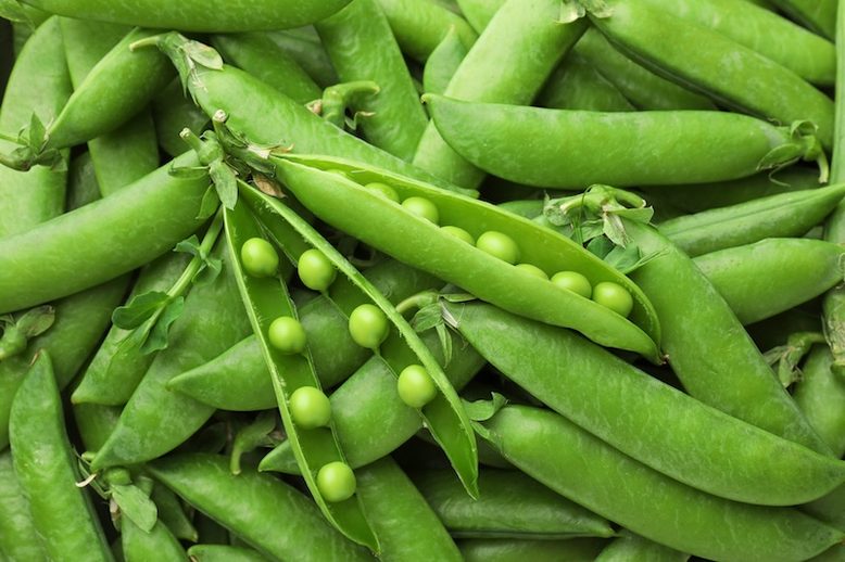 Fresh green pea pods as background
