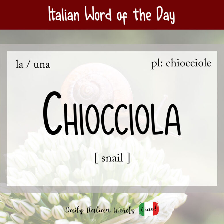 Italian word "chiocciola"